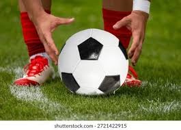 芝加哥白袜在 2005 年世界大赛横扫夺冠，终结了长达 88 年的球队冠军荒